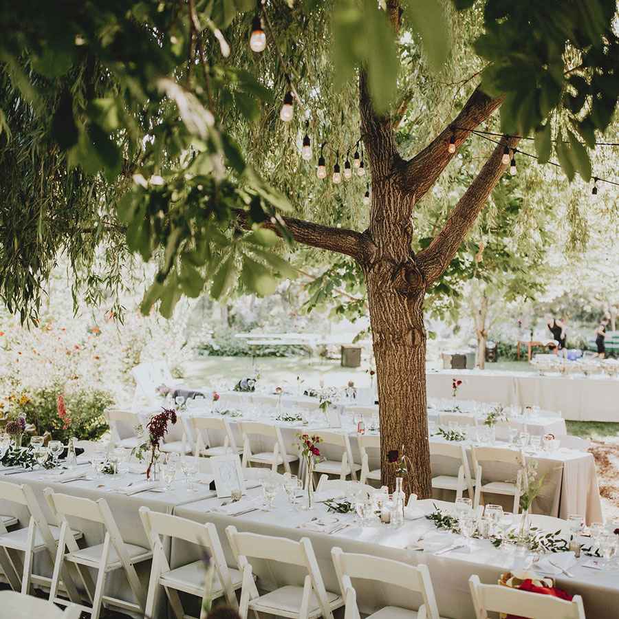 tree grows in middle or wedding