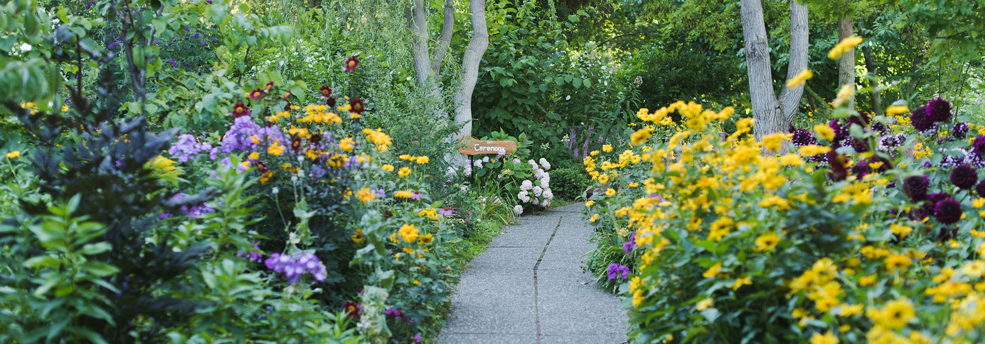 linden gardens pathway
