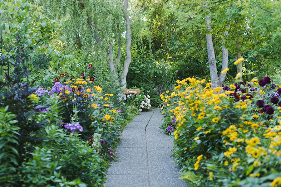 pathway through gardens