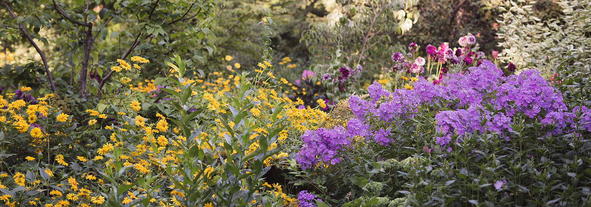 flowers and greenery