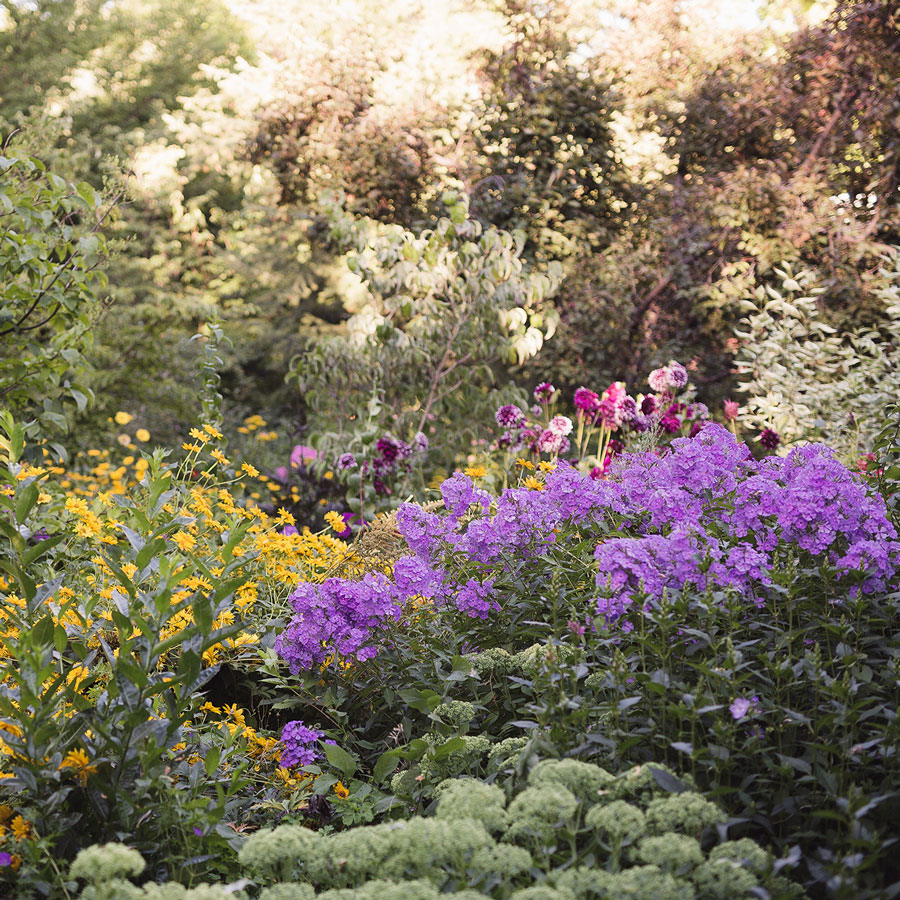 flowers at linden gardens